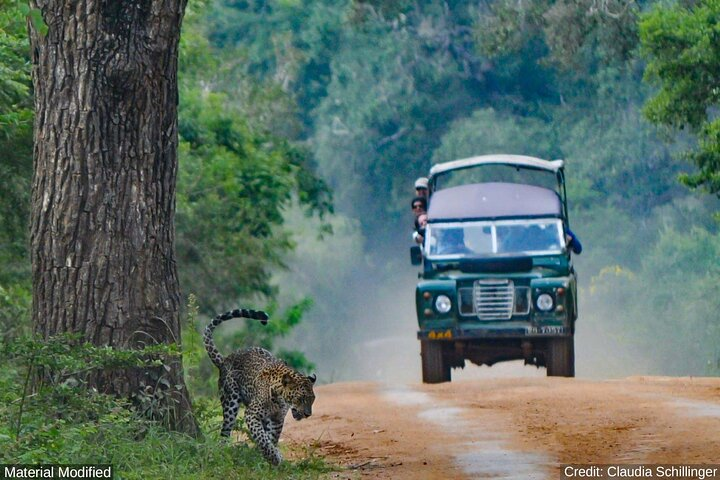 Sri Lanka: See & Experience it ALL in 10 Days, 1st Class Custom Tours - Photo 1 of 22